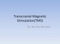Transcranial Magnetic Stimulation(TMS) By: Brandon Brunell