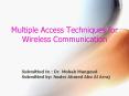 Multiple Access Techniques for Wireless Communicatio