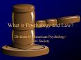 What is Psychology and Law? Division 41: America