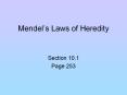 Law of Segregation Mendel s first law of heredity Ever