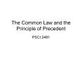 The Common Law and the Principle of Precedent PSCI 248