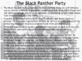 The Black Panther Party The Black Panther Party (originall