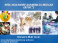 APEC: NON TARIFF BARRIERS TO MEXICAN EXPORTS Clemente Rui
