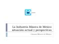 CAMIMEX La Industria Minera de M xico situaci n actual 