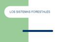 LOS SISTEMAS FORESTALES Caracter sticas Generales de l