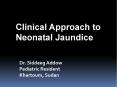 Clinical Approach to Neonatal Jaundice Dr. Siddeeg Addo