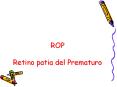 ROP Retino patia del Prematuro ROP La retinopat a de