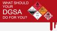 What Should Your DGSA Do For You?