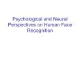 Psychological and Neural Perspectives on Human Fac