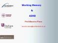 Working Memory & ADHD Prof Maurice Plac