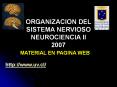 organizacion del sistema nervioso neurociencia ii 200