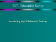 EOL Education Series Introducing the Collaborative Pathwa