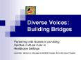 Diverse Voices: Building Bridges Partnering with Nurses i
