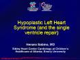 Hypoplastic Left Heart Syndrome (and the single ventricl