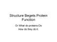 Structure Begets Protein Function Or What do proteins Do Ho