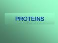 PROTEINS Characteristics of Proteins Contain carbon