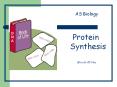AS Biology Protein Synthesis Mrs Griffiths Protein synthesi