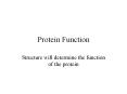 Protein Function Structure will determine the function o