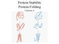 Protein Stability Protein Folding Chapter 6 Protei