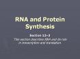 RNA and Protein Synthesis Section 12 3 This sectio