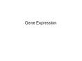 Gene Expression Regulation of Gene Expression Microorganism
