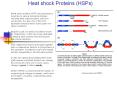 Heat shock Proteins (HSPs) Heat shock proteins (HSP) ar