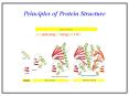 Principles of Protein Structure primary structur