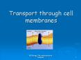 Transport through cell membranes Transport through cel