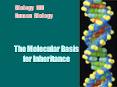 Biology 100 Human Biology The Molecular Basis fo