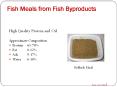 Fish Meals from Fish Byproducts High Quality Protein and Oi