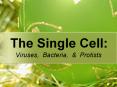 The Single Cell: Viruses, Bacteria, & Protists * * The Gra