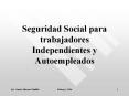 Seguridad Social para trabajadores Independientes 