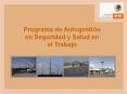 Programa de Autogesti n en Seguridad y Salud en el Trabaj