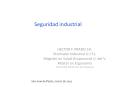 Seguridad industrial HECTOR F. PRADO CH. Dise ado