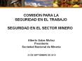 COMISI N PARA LA SEGURIDAD EN EL TRABAJO SEGURIDAD EN E