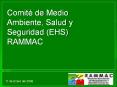 Comit  de Medio Ambiente, Salud y Seguridad (EHS) RAMMA
