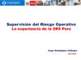Supervisi n del Riesgo Operativo La experiencia de la SB