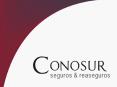 * * * * * * * * * * * * 0*. Seguro Colectivo de Vid