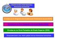 ORIENTACI N PROFESIONAL Itinerarios formativos Si estas e