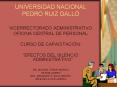 universidad nacional pedro ruiz gallo vicerrectorad