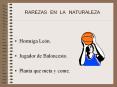 RAREZAS EN LA NATURALEZA Hormiga Le n. Jugador d