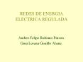 REDES DE ENERGIA ELECTRICA REGULADA Andres Felipe Rubian