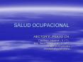 SALUD OCUPACIONAL HECTOR F. PRADO CH. Dise ador Industrial 