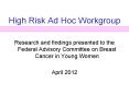 High Risk Ad Hoc Workgroup Research and findings presente