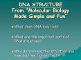 DNA STRUCTURE From  Molecular Biology Made Simple and Fun