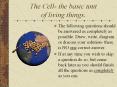 Stem cells? Supposing that you have heard of  stem cells,