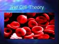 The Cell Theory Some Random Cell Facts The average huma