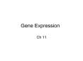 Gene Expression Ch 11 Gene expression Genes to protein