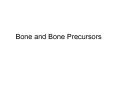 Bone and Bone Precursors The skeleton Mineralized connectiv