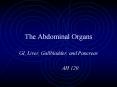 The Abdominal Organs GI, Liver, Gallbladder, and Pancreas A